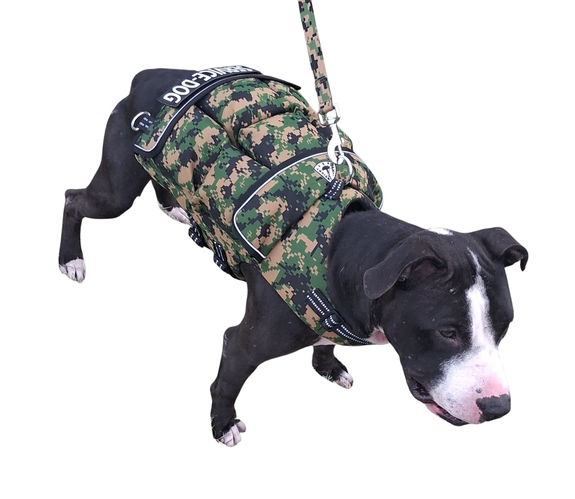 Weighted + Floatation Swimming + Pulling Attachment 3 In 1 Dog Vest