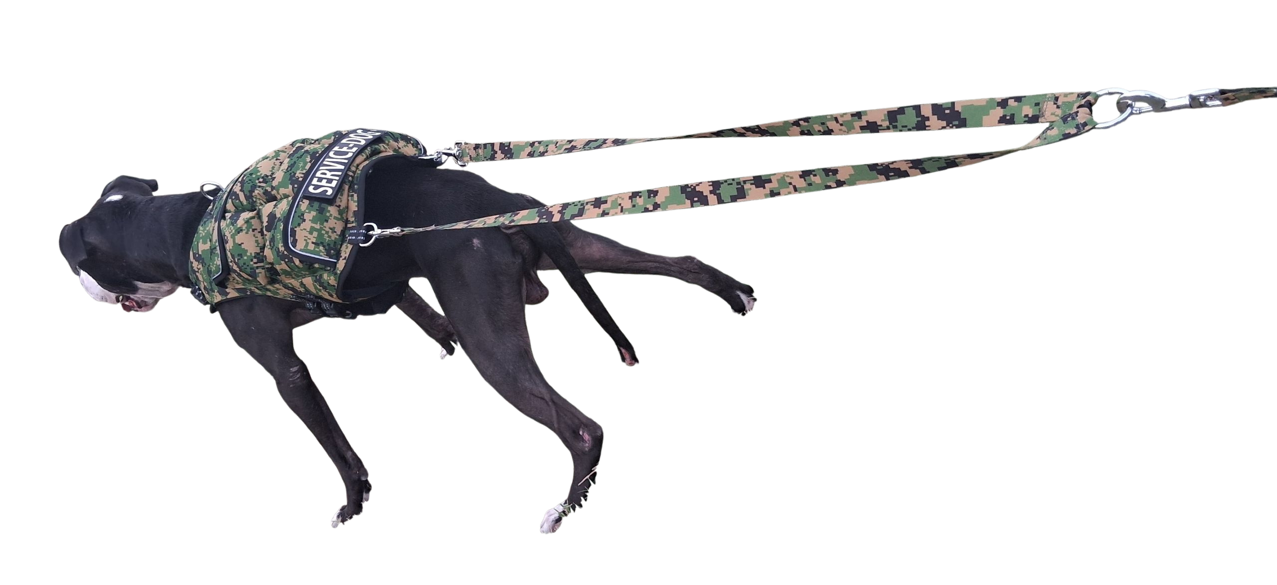 WEIGHTED DOG VEST VALUE PACKAGE - CANINE WEIGHT SET®