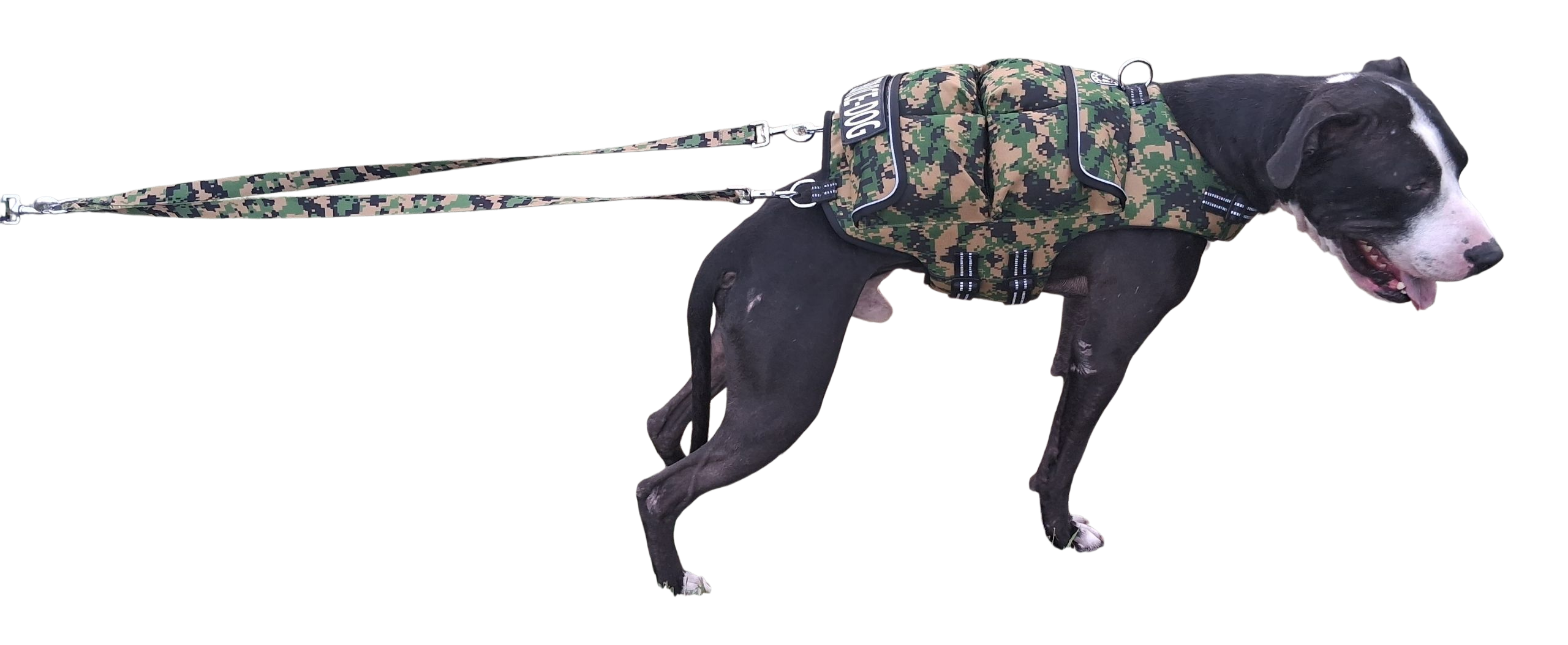 Weighted + Floatation Swimming + Pulling Attachment 3 In 1 Dog Vest