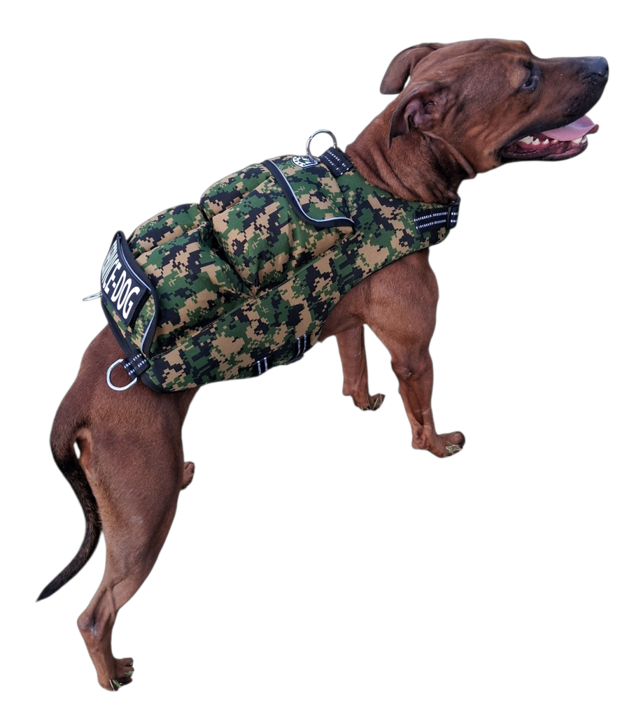 Muscle Gainer Dog Treats Soft Chew - CANINE WEIGHT SET®