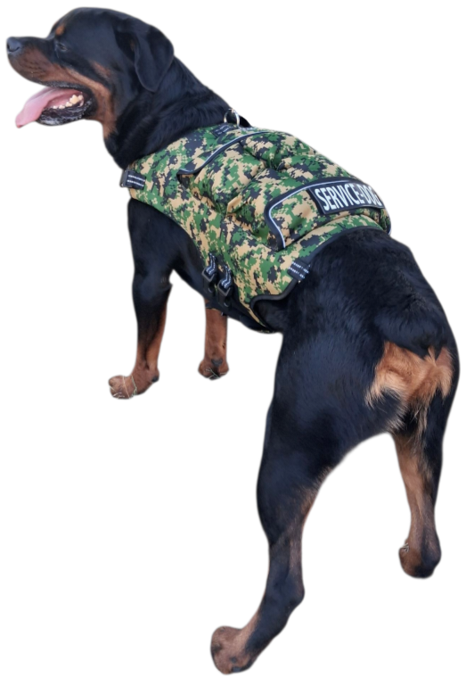 Weighted + Floatation Swimming + Pulling Attachment 3 In 1 Dog Vest