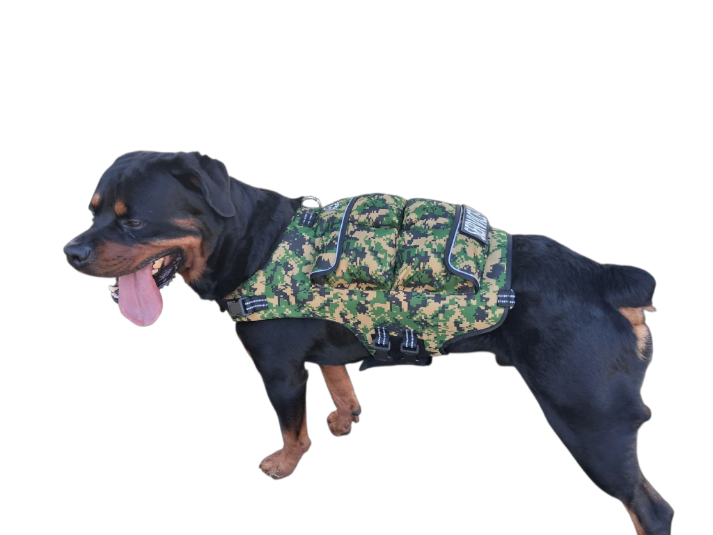 Weighted + Floatation Swimming + Pulling Attachment 3 In 1 Dog Vest