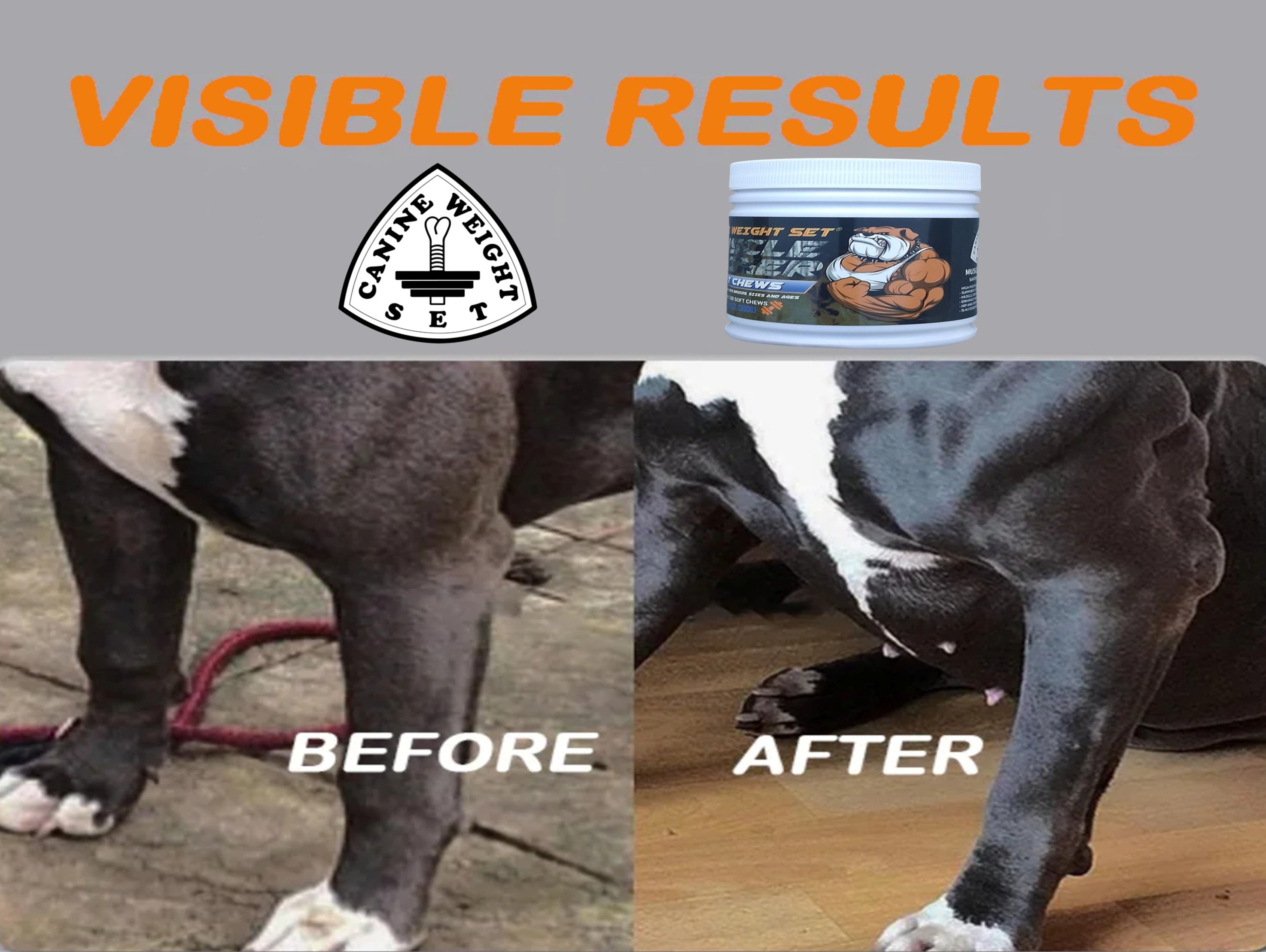 Muscle Gainer Dog Treats Soft Chew - CANINE WEIGHT SET®