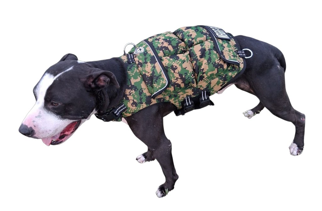 Muscle Gainer Dog Treats Soft Chew