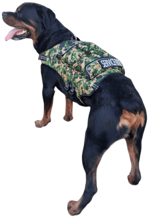 WHOLESALEWeighted Dog VestSmall – Vest 8LBS. / Dog Weight 20 – 45LBS. - 10 VESTCAMOUFLAGE