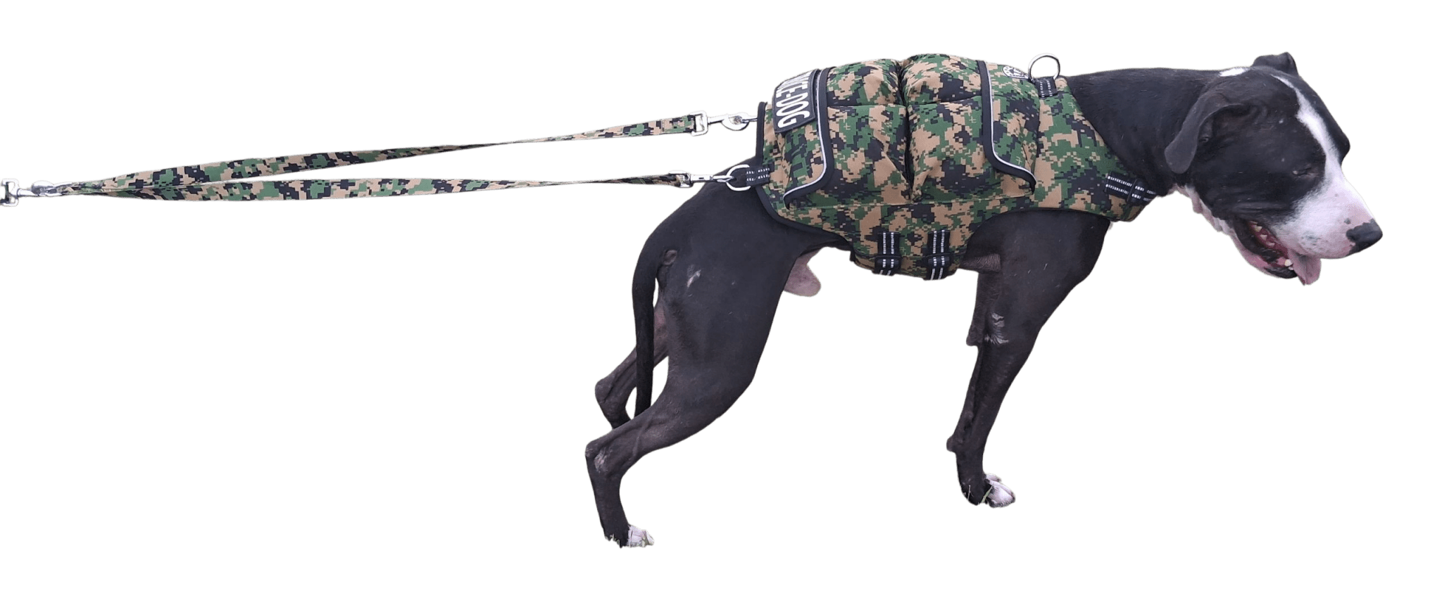 Weight + Float + Pulling Attachment 3 In 1 Dog Vest - Free Size ExchangesWeighted Dog VestSmallCamouflage