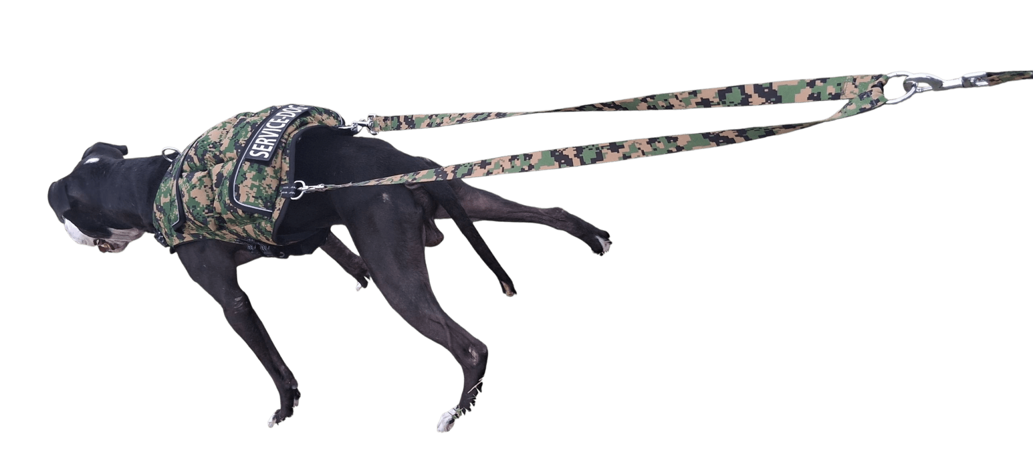 Weight + Float + Pulling Attachment 3 In 1 Dog Vest - Free Size ExchangesWeighted Dog VestSmallCamouflage