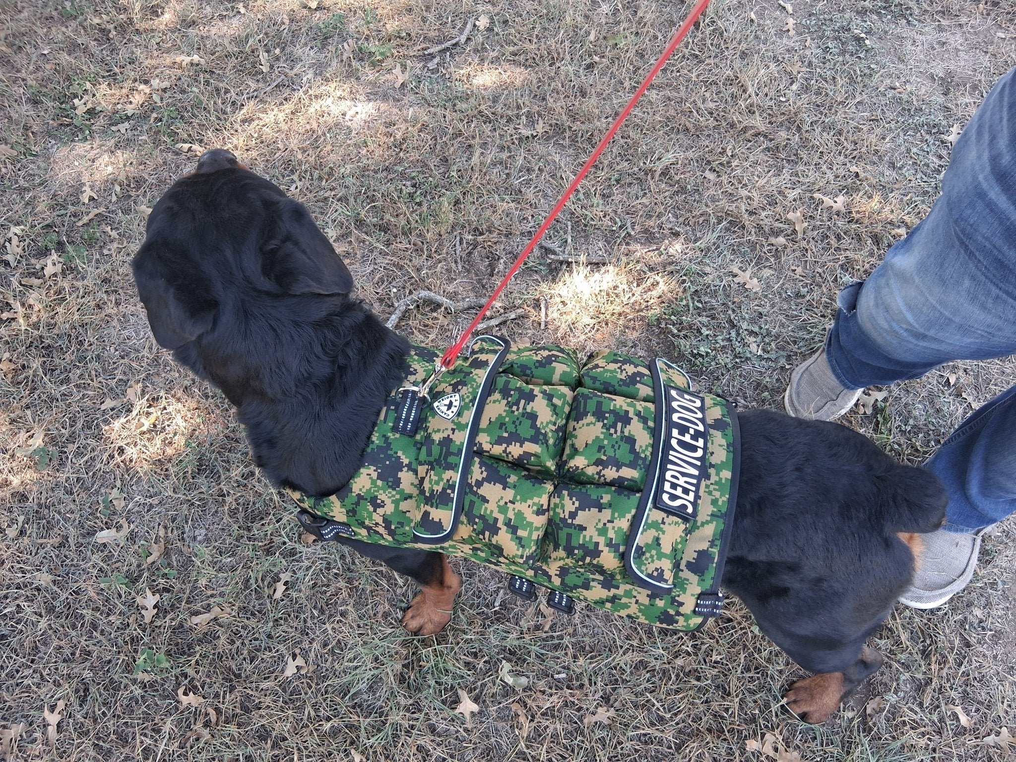Weight + Float + Pulling Attachment 3 In 1 Dog Vest - Free Size ExchangesWeighted Dog VestSmallCamouflage