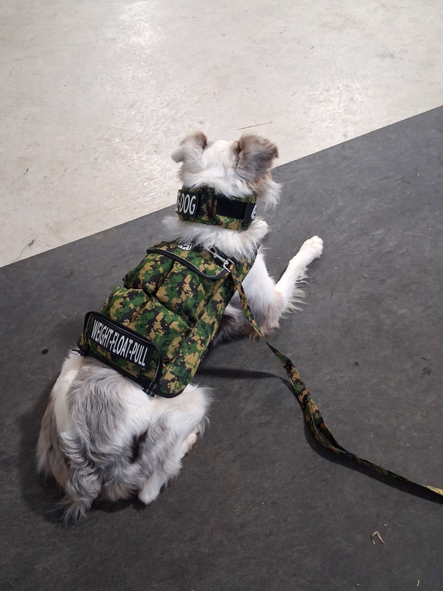 Weight + Float + Pulling Attachment 3 In 1 Dog Vest - Free Size ExchangesWeighted Dog VestSmallCamouflage