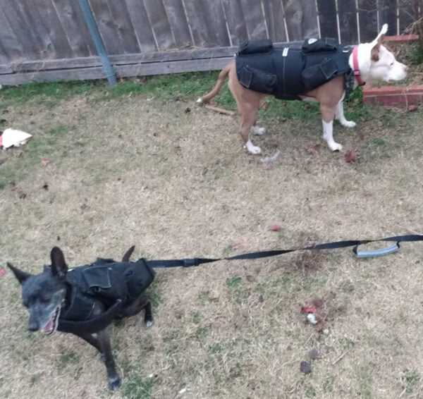 CWS Weighted Dog Sled™ - CANINE WEIGHT SET®