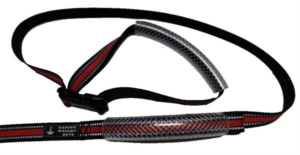 Dual Dog Walker Leash™ - CANINE WEIGHT SET®