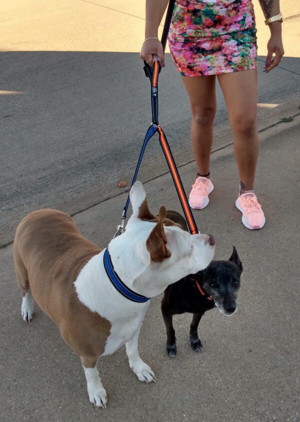 Dual Dog Walker Leash™ - CANINE WEIGHT SET®