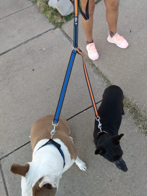 Dual Dog Walker Leash™ - CANINE WEIGHT SET®