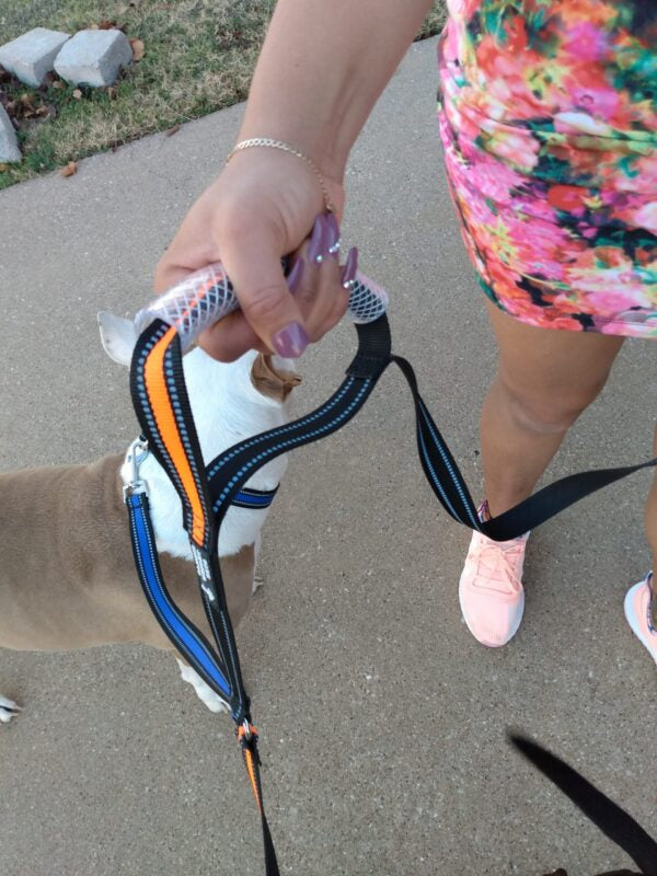 Dual Dog Walker Leash™ - CANINE WEIGHT SET®