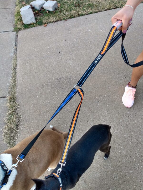 Dual Dog Walker Leash™ - CANINE WEIGHT SET®