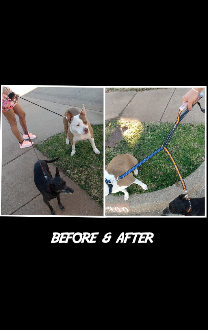 Dual Dog Walker Leash™ - CANINE WEIGHT SET®