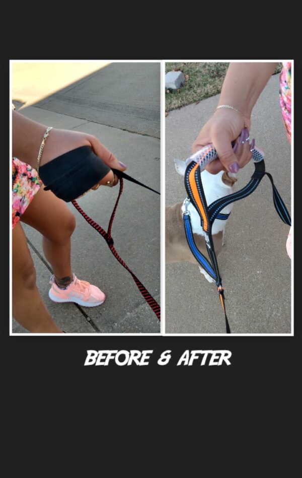 Dual Dog Walker Leash™ - CANINE WEIGHT SET®