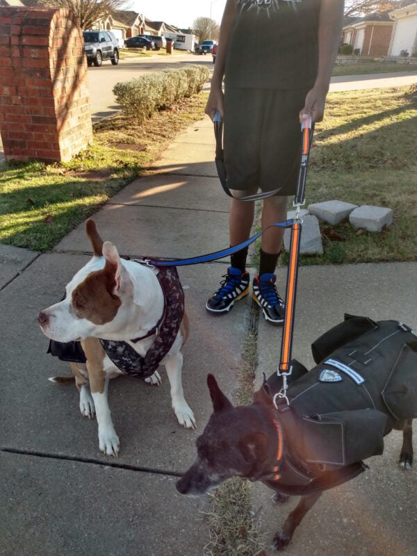 Dual Dog Walker Leash™ - CANINE WEIGHT SET®