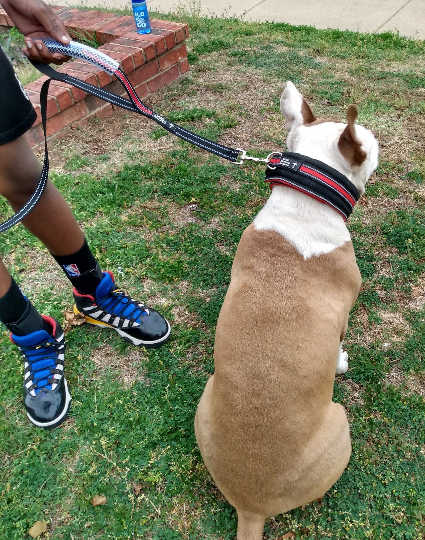 Wide Neck Heavy Duty Dog Collars - CANINE WEIGHT SET®