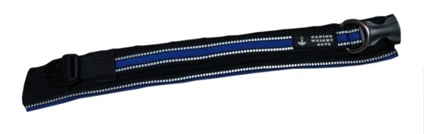 Wide Neck Heavy Duty Dog Collars - CANINE WEIGHT SET®