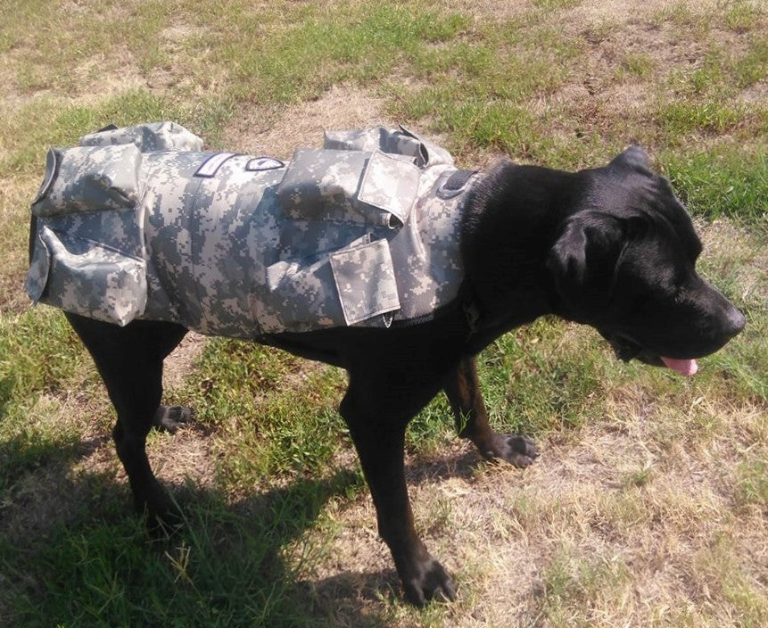 6 Unhealthy Dog Breeds Prone to Premature Death—and How Weighted Vests Can Help