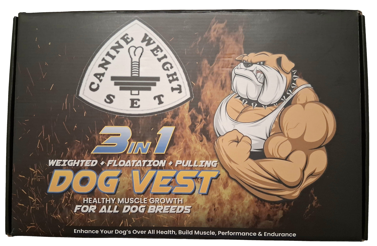 The Health Benefits of Weighted Vests for Dogs: What Every Pet Owner Should Know