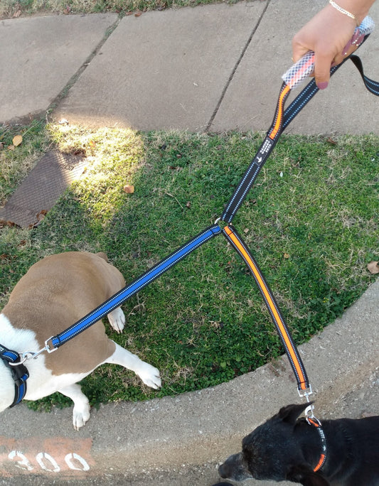 Dual Dog Walker Leash™ Custom Made To Use For A Couple Of Reasons
