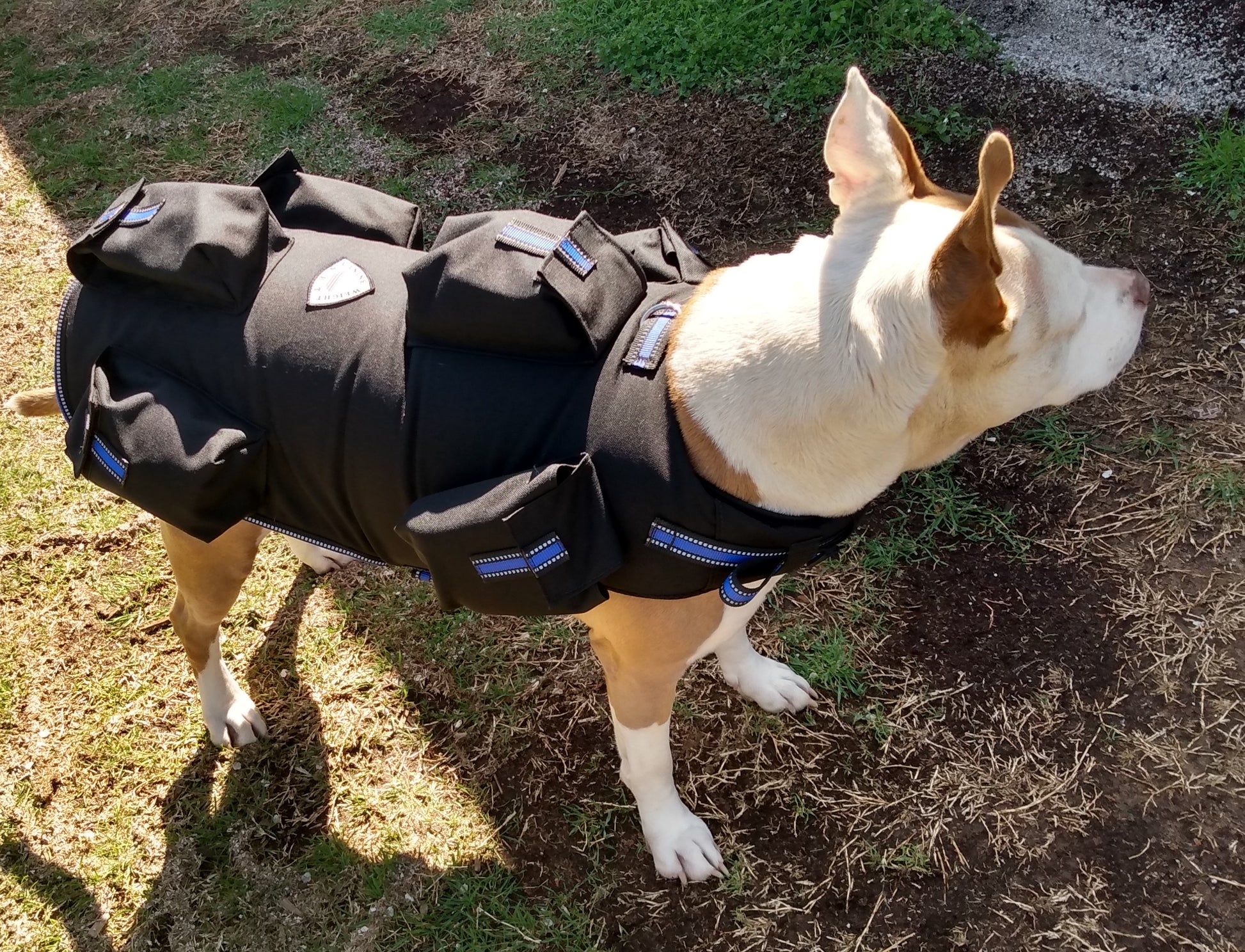 Weighted Dog Vest / Floatation Life Vest - CANINE WEIGHT SET®