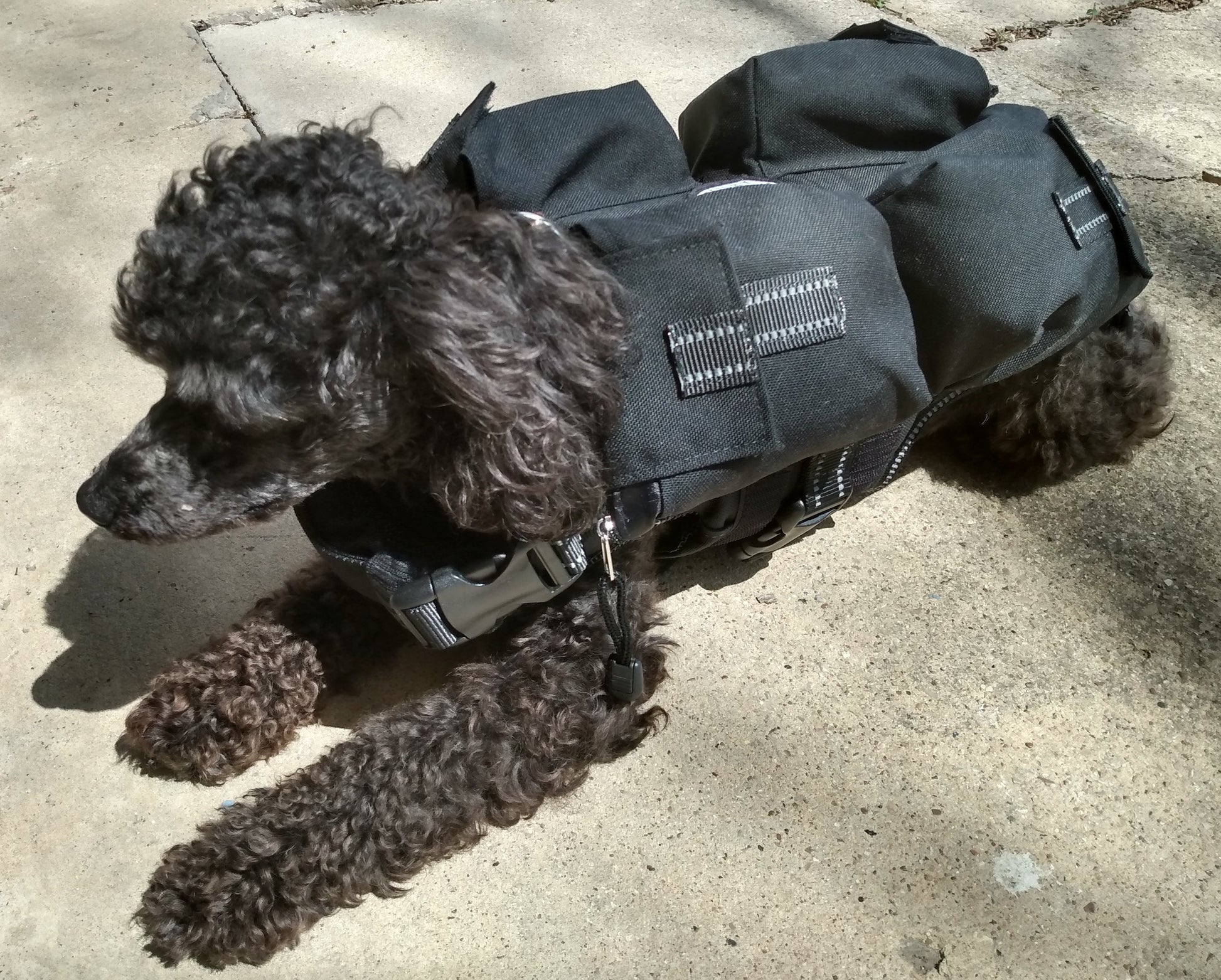 Weighted Dog Vest / Floatation Life Vest - CANINE WEIGHT SET®