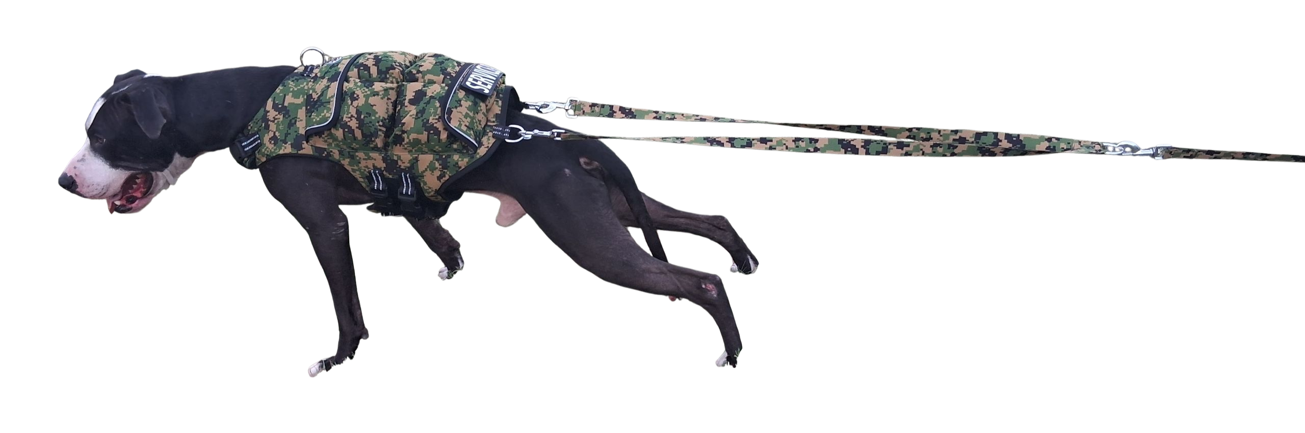 WEIGHTED DOG VEST VALUE PACKAGE - CANINE WEIGHT SET®