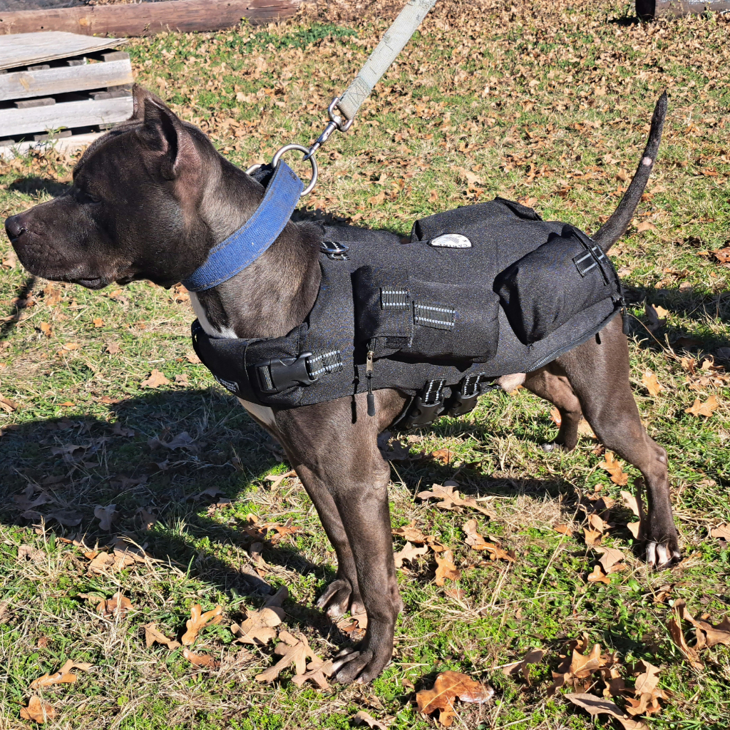 Pitbull Diy Weighted Dog Vest Weight Pulling Harness Weight Vest