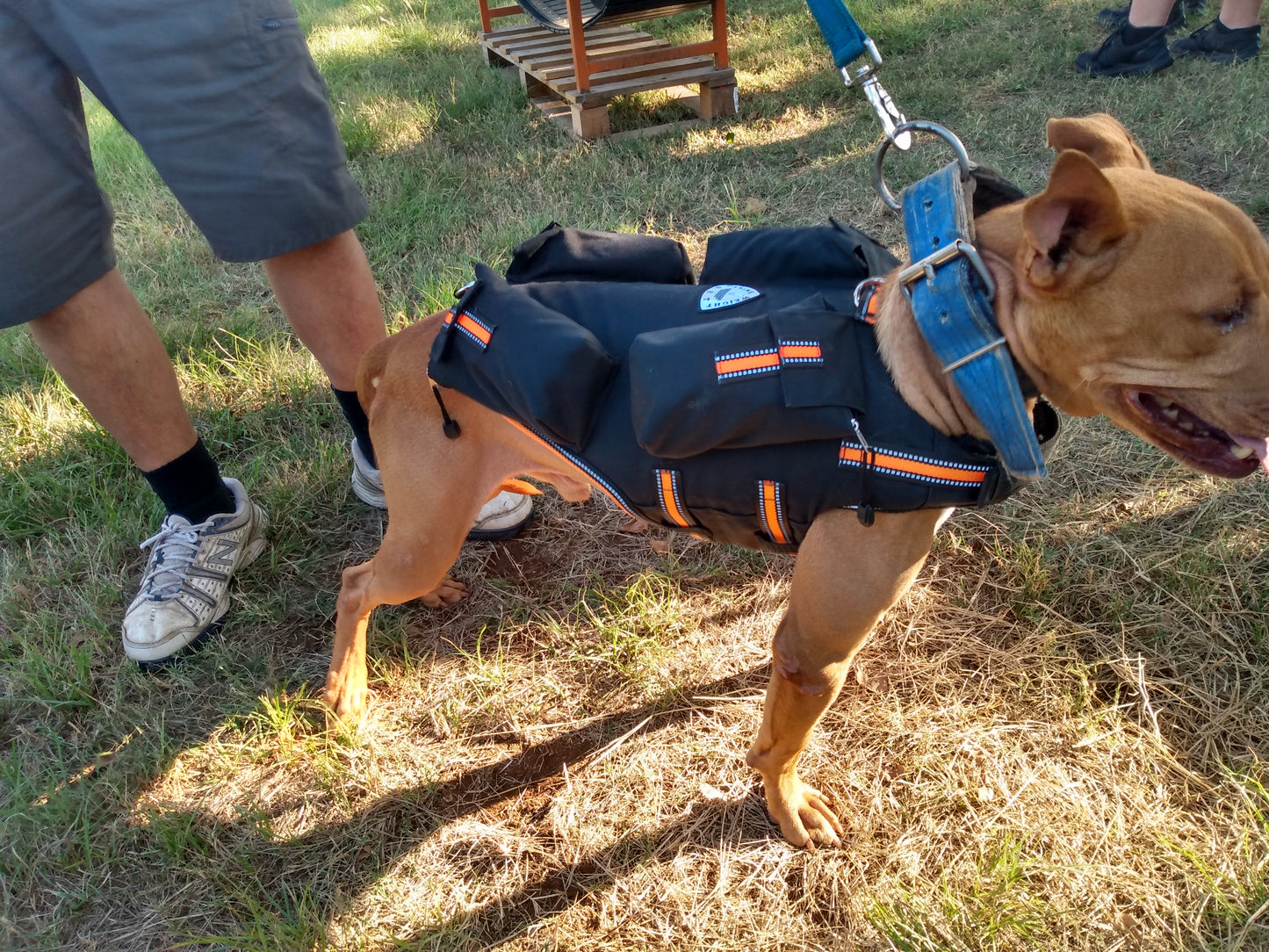 Weighted Dog Vest / Floatation Life Vest - CANINE WEIGHT SET®