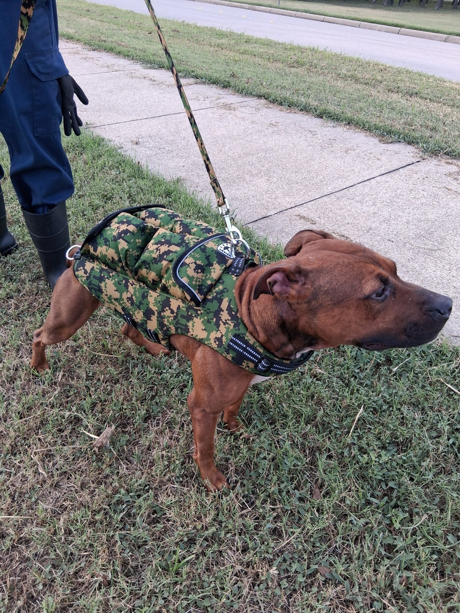 WHOLESALEWeighted Dog VestSmall – Vest 8LBS. / Dog Weight 20 – 45LBS. - 10 VESTCAMOUFLAGE