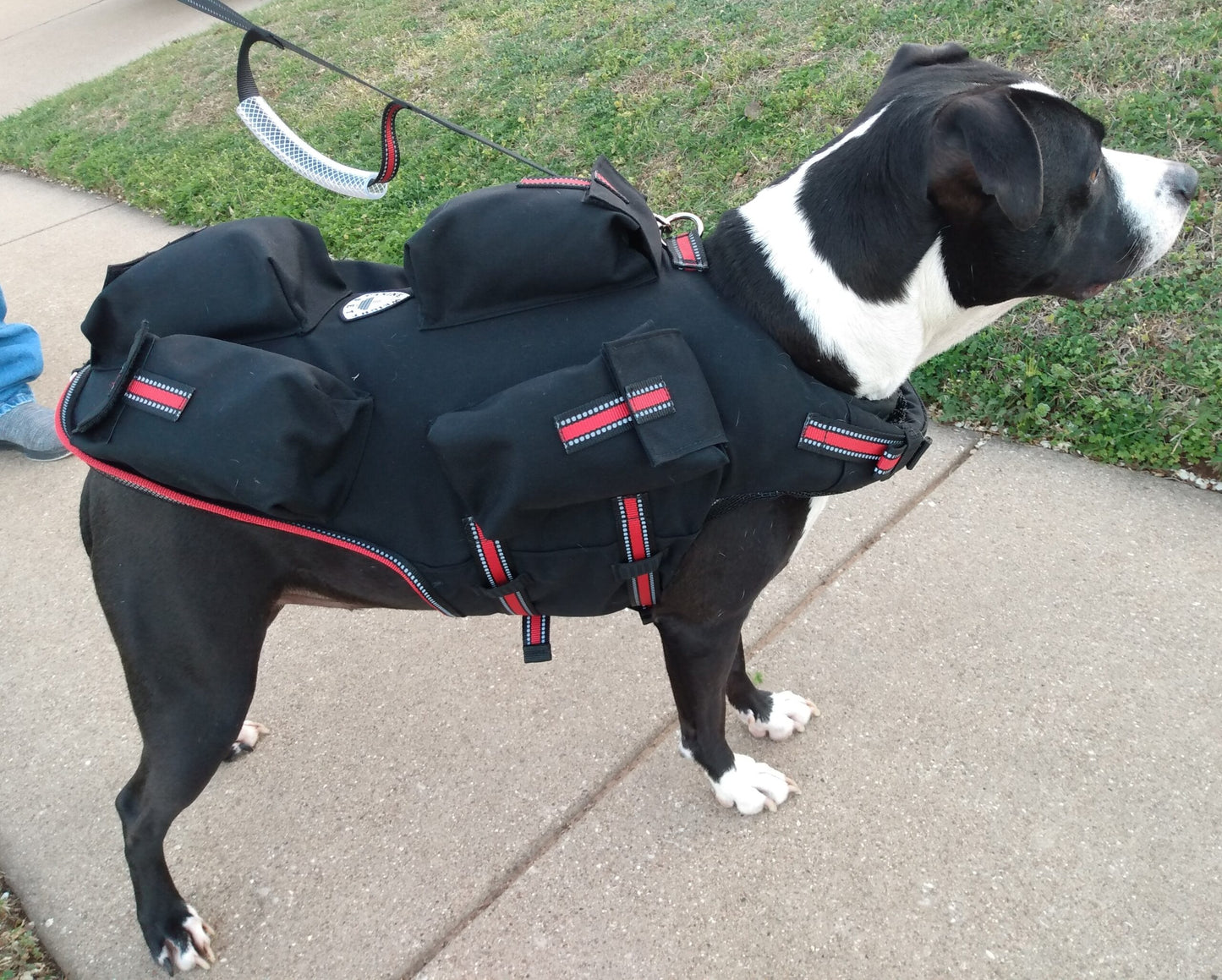 CANINE WEIGHT SET ® Weighted Dog Vest / Floatation Life Vest - CANINE WEIGHT SET®