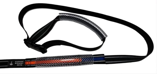 Dual Dog Walker Leash™ - CANINE WEIGHT SET®