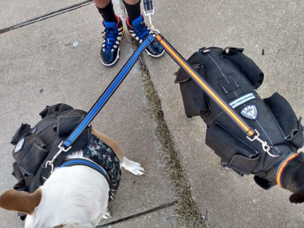 Dual Dog Walker Leash™ - CANINE WEIGHT SET®