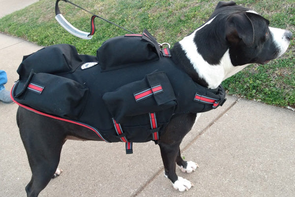 Weighted vest sales for puppies